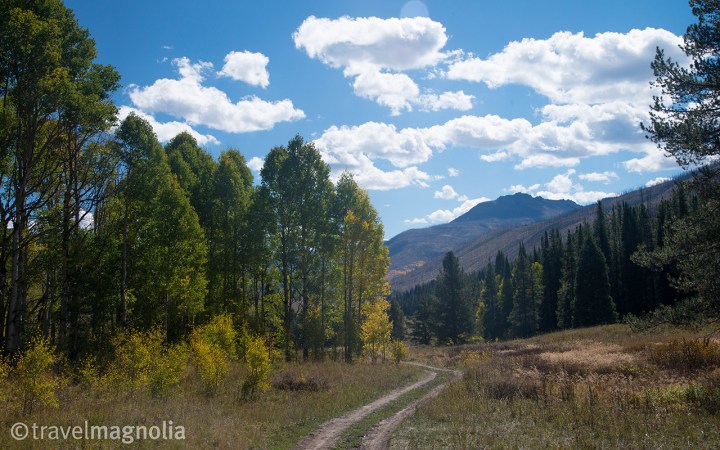 Road into the Wilderness