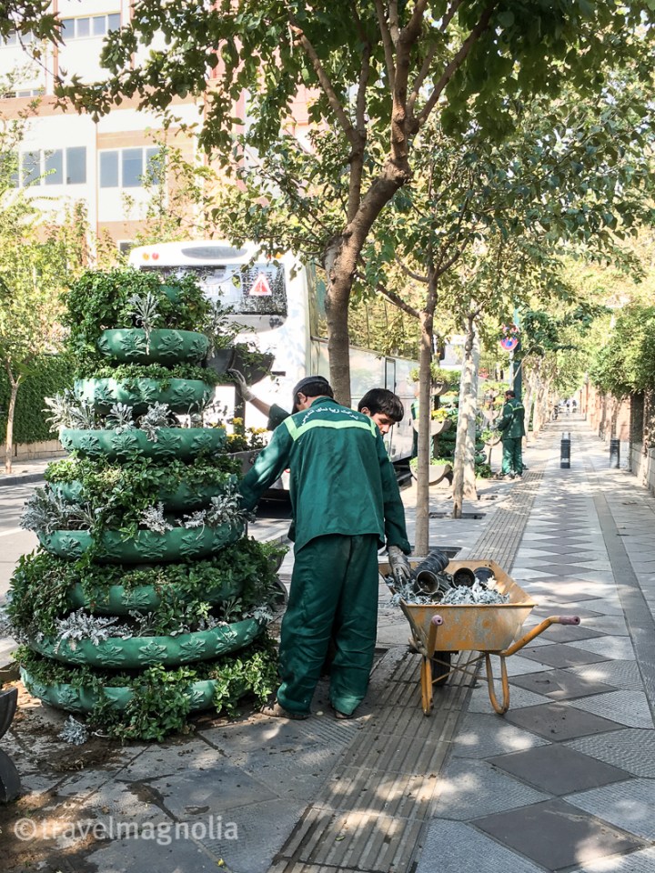 Tehran_Gardening