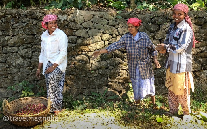 CoffeePlantationWorkers