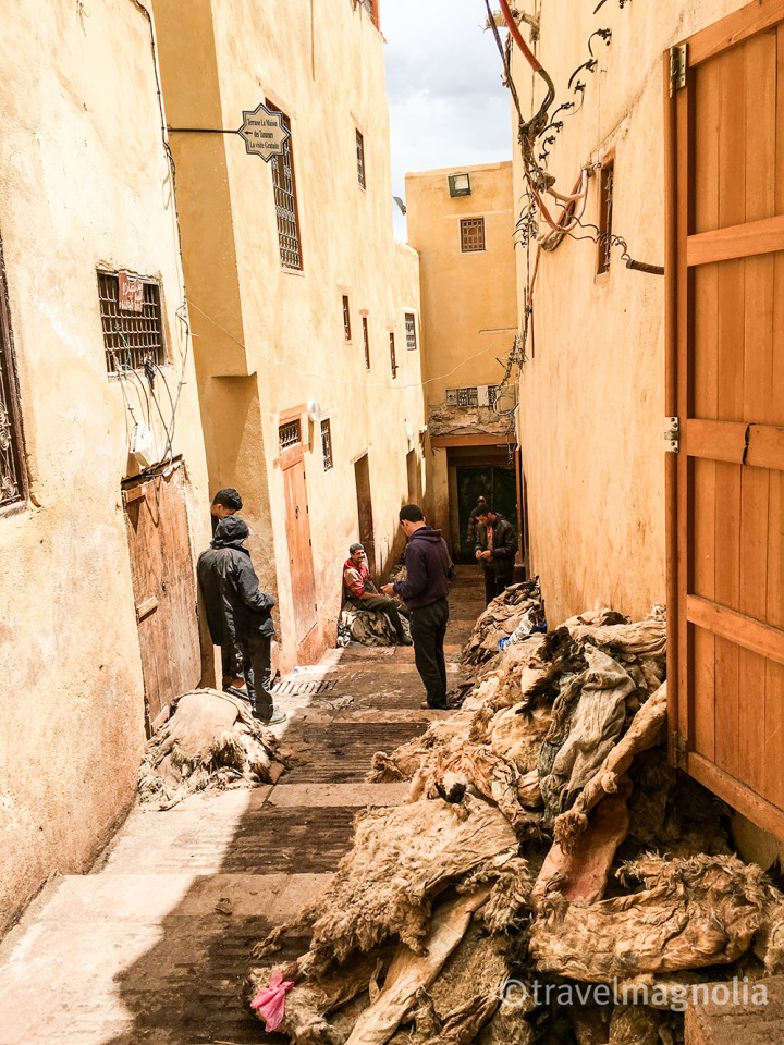 Hides on Alley to Tannery