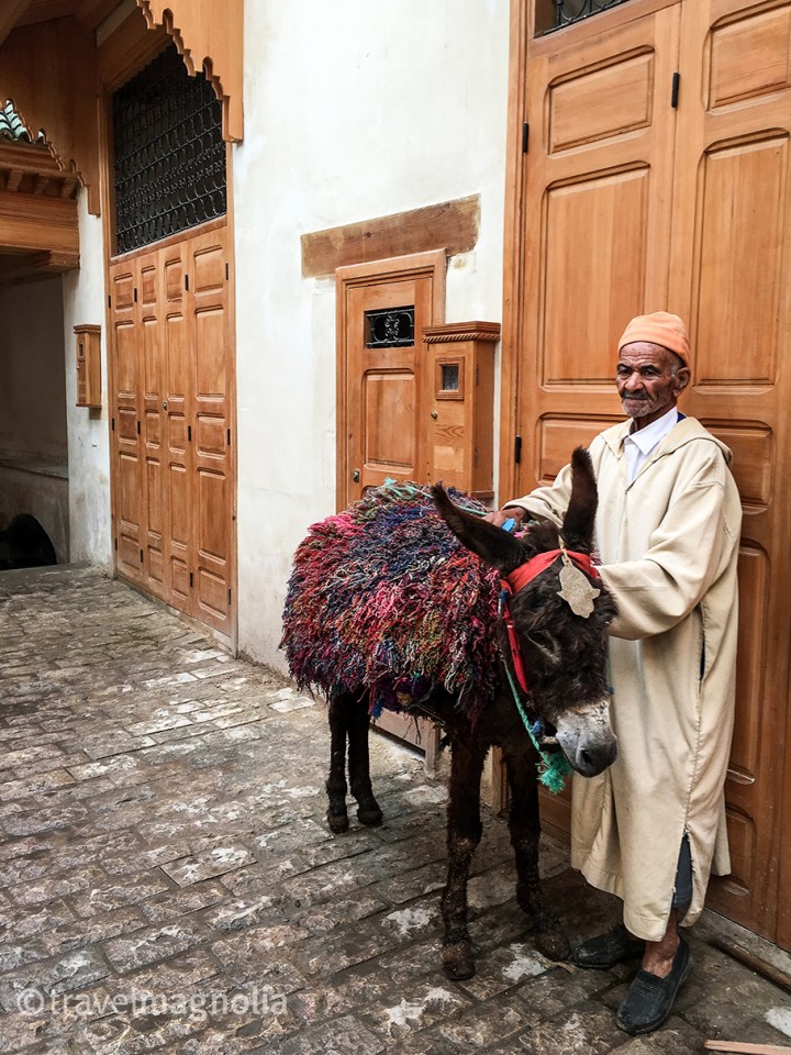 Fez el Bali, Fez, Morocco ©travelmagnolia2016