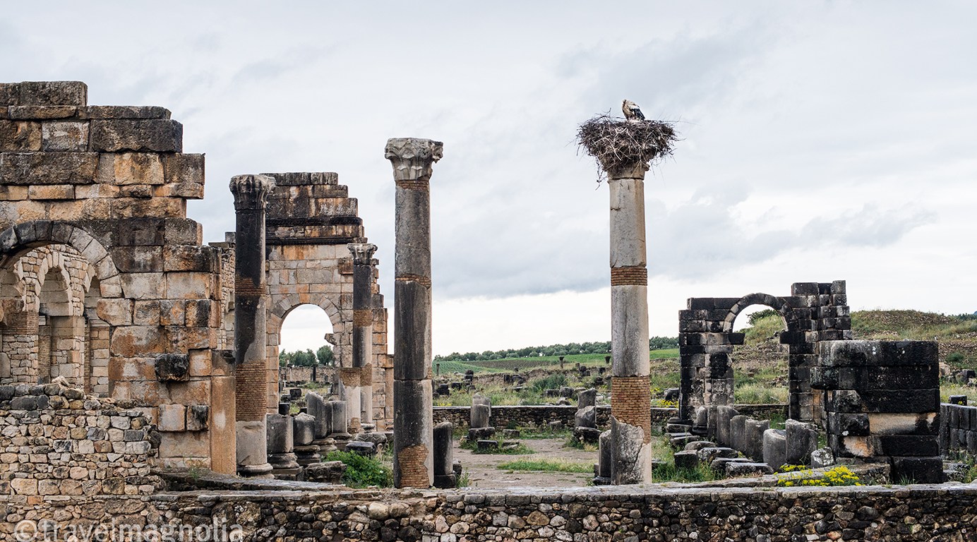 Volubilis, Roman Ruins, Morocco ©travelmagnolia2016