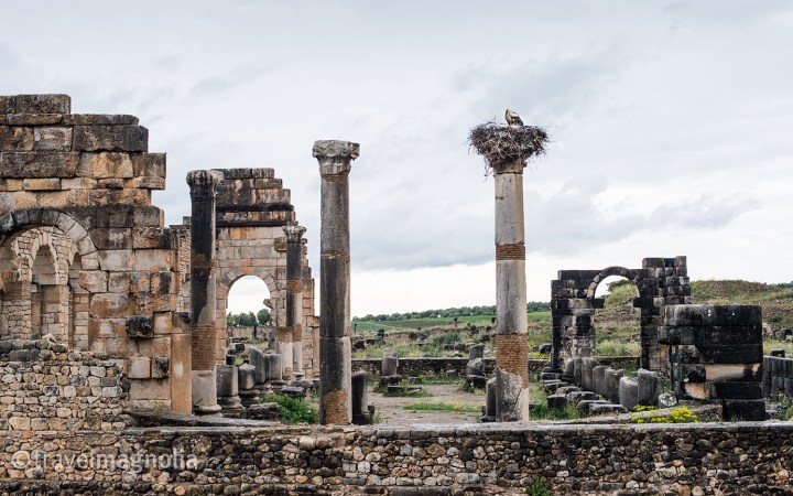 Volubilis, Roman Ruins, Morocco ©travelmagnolia2016