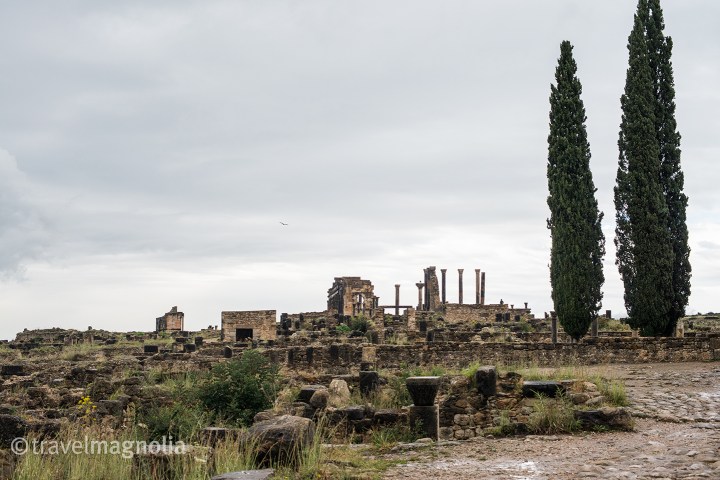 Volubilis Overview