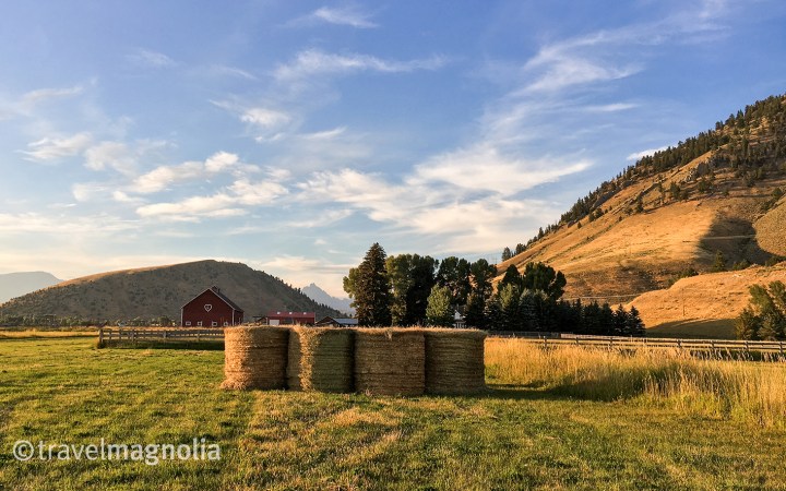 Fields with Hay