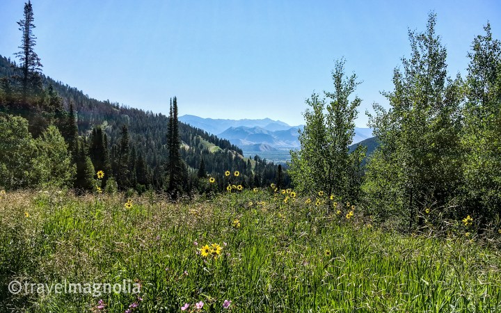 OldPassRoad_Overlook