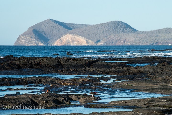 shoreline_santiagoisland