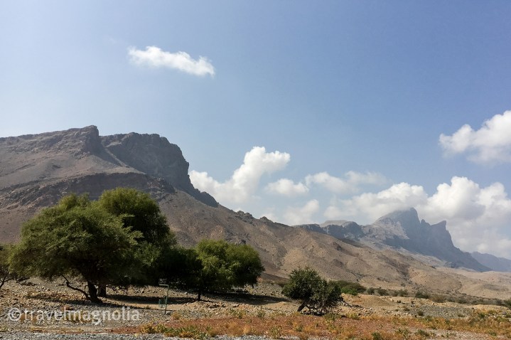 landscape-near-the-view