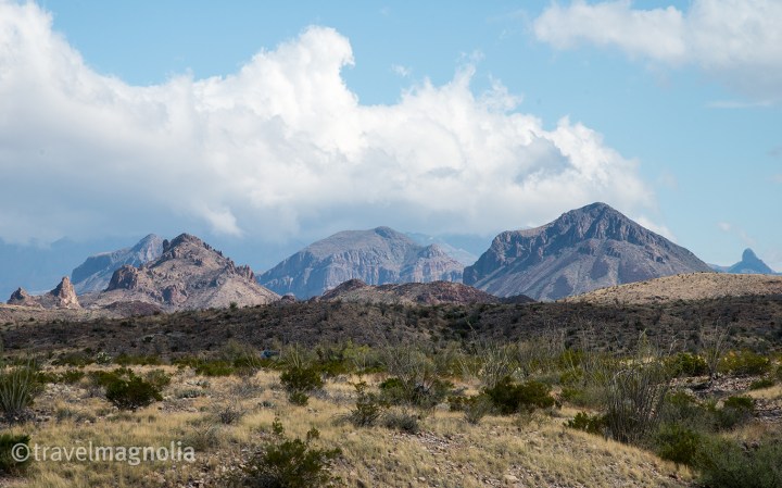 Road to Santa Eleña Canyon