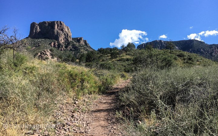 Window Trail toward Casa Grande