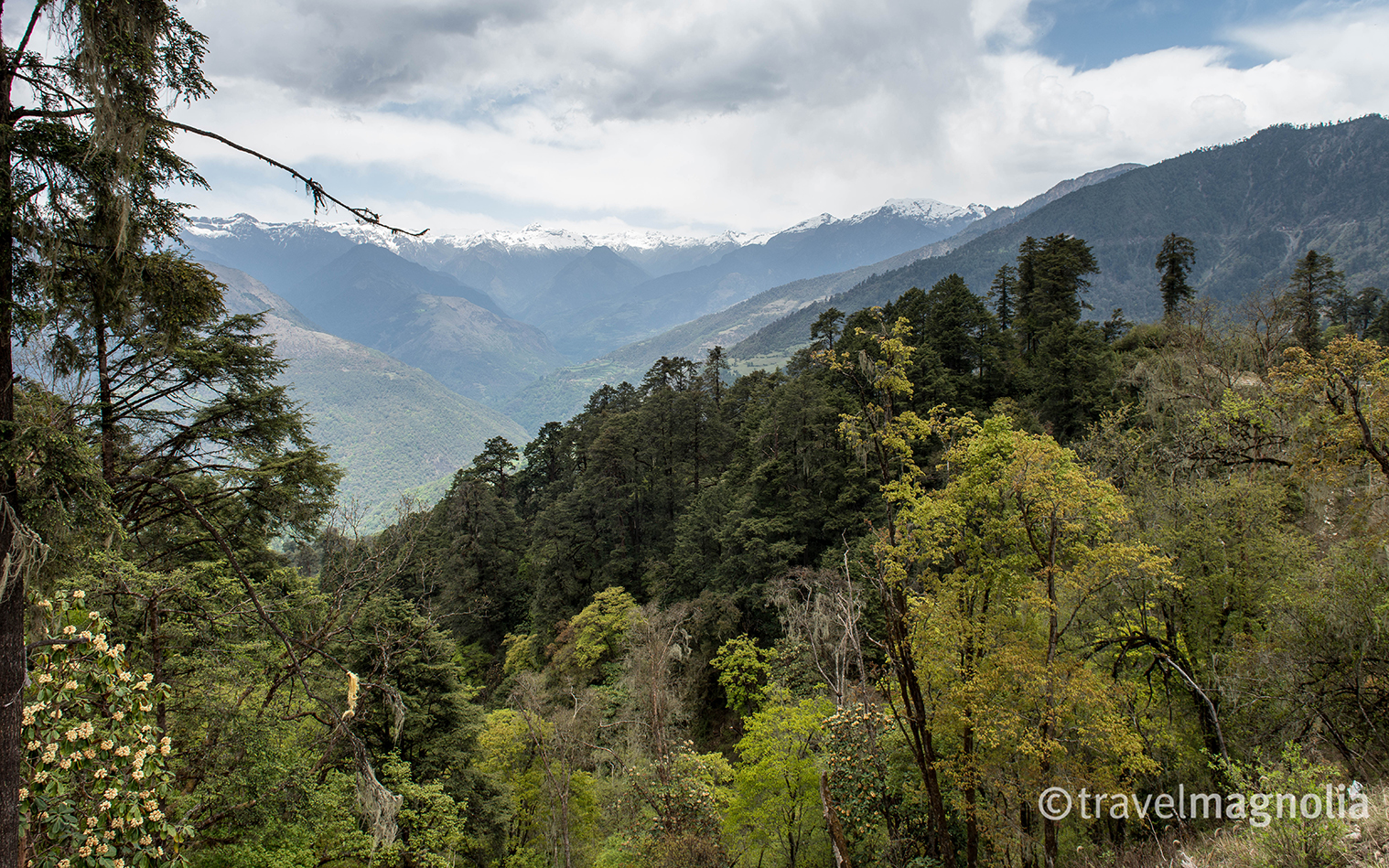 Phobjika_Road2Gangtey